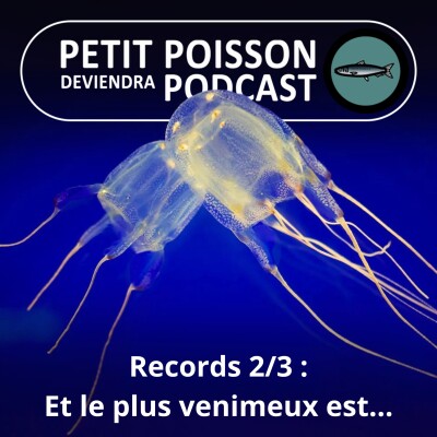 S01E06 Records 2/3 : Et le plus venimeux est... cover
