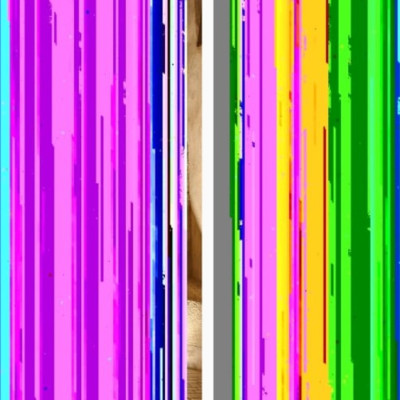 Prêts..Rentrez ! cover