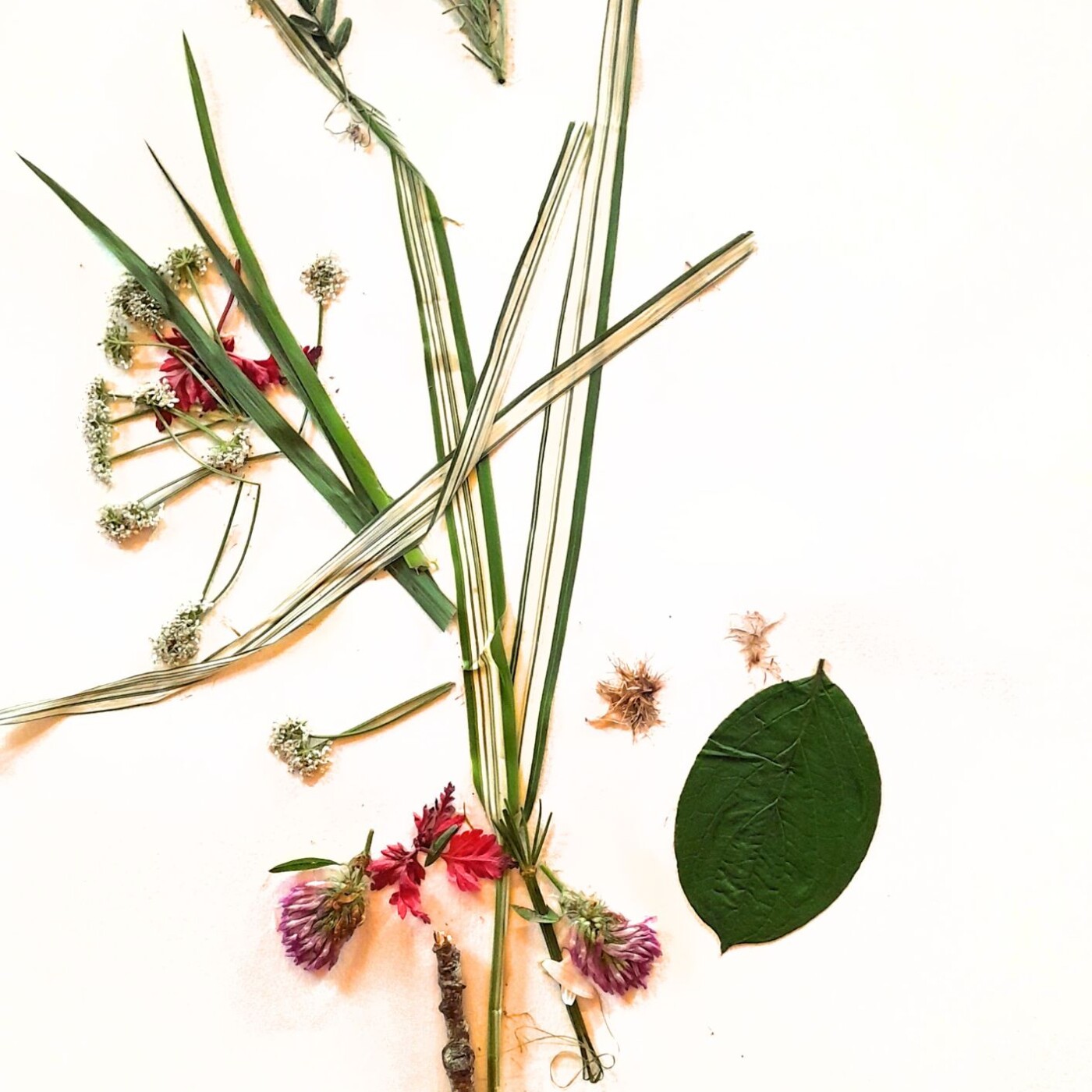 Jade : La pillier de l'amour