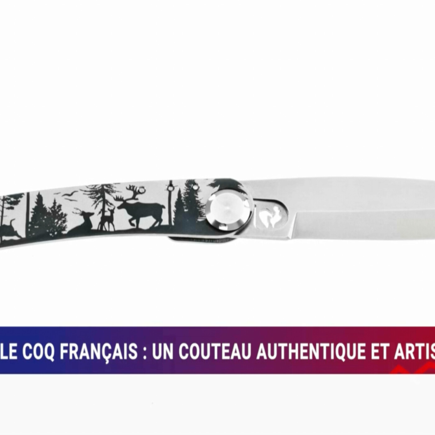 Le Business Club de France des Entrepreneurs