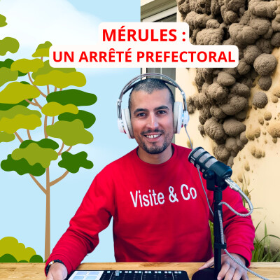 🚨 Mérule : un arrêté préfectoral pour le Calvados ! Visite & Co Immobilier cover
