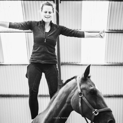 🐎 • En 2025, la classe : un cheval serein, disponible et à l’écoute cover