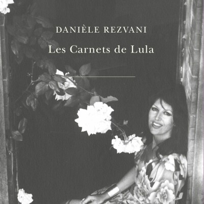 Danièle Rezvani - Les Carnets de Lula cover