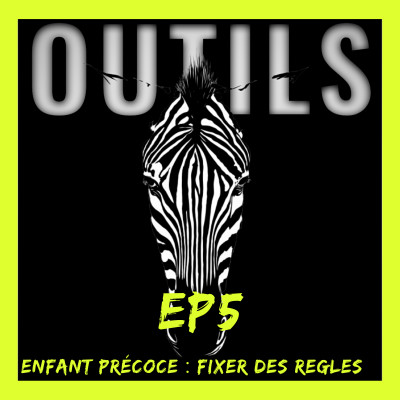 (EP5)ENFANT PRECOCE : FIXER DES REGLES cover