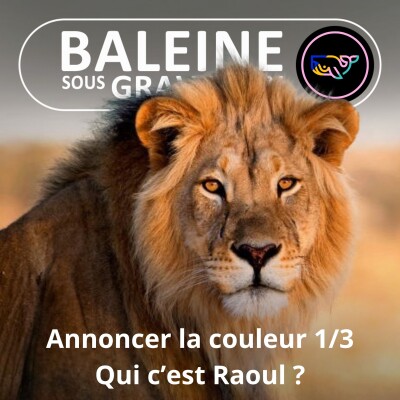 S07E166 Annoncer SA couleur 1/3 : Qui c'est Raoul ? cover
