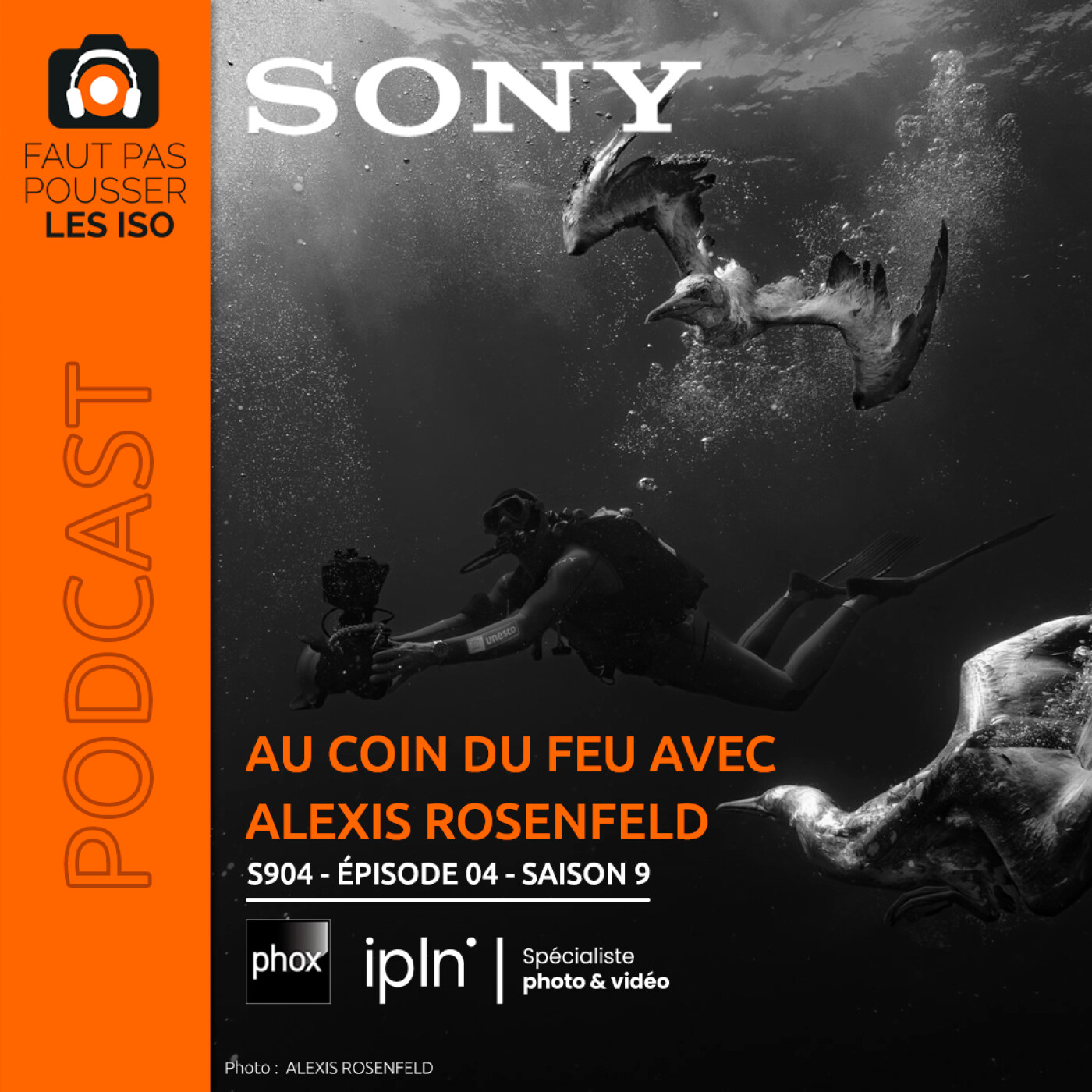 S904 - AU COIN DU FEU : CONVERSATIONS AVEC ALEXIS ROSENFELD