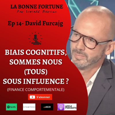 14- Biais cognitifs, finance comportementale Décidons nous vraiment - David Furcajg cover