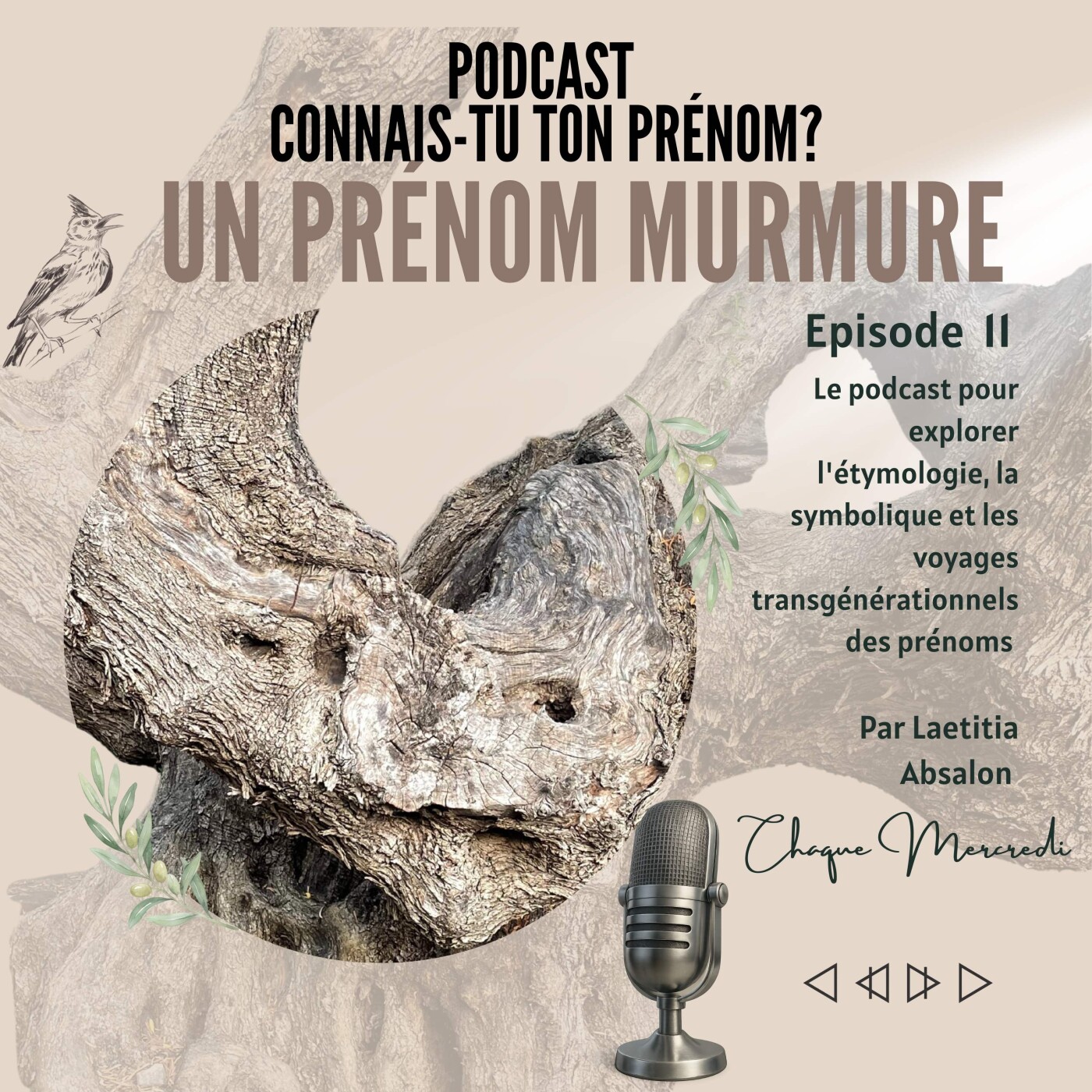 ÉPISODE #11 - UN PRÉNOM MURMURE episode artwork