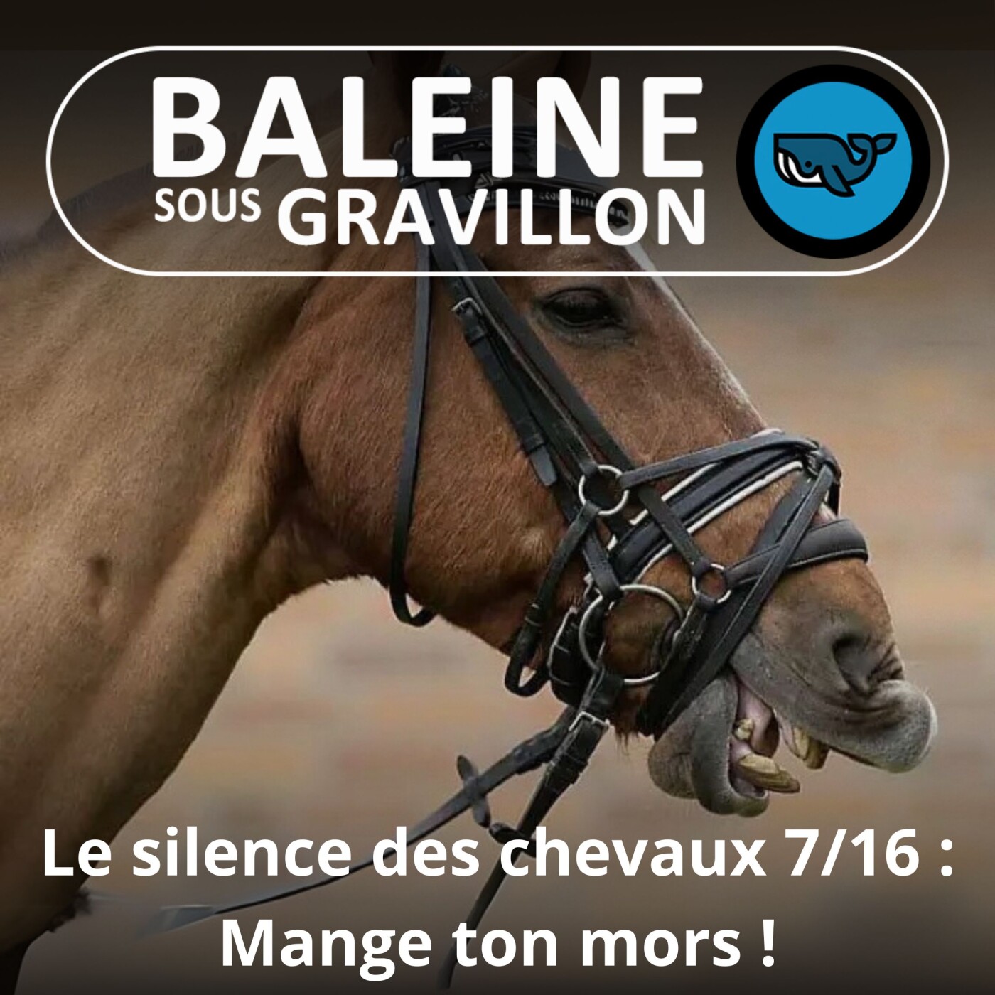 S06E41 Le Silence des chevaux 7/16 : Mange ton mors !