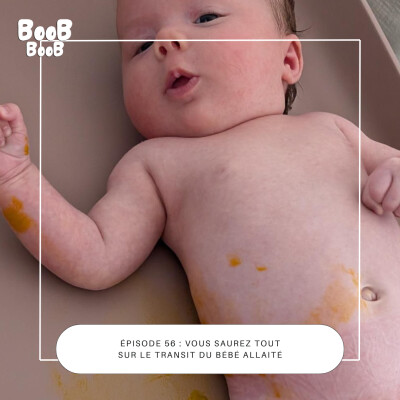56. Vous saurez tout sur le transit du bébé allaité cover