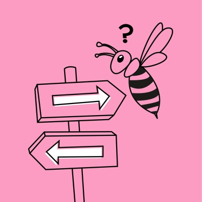Les abeilles perdent le nord cover