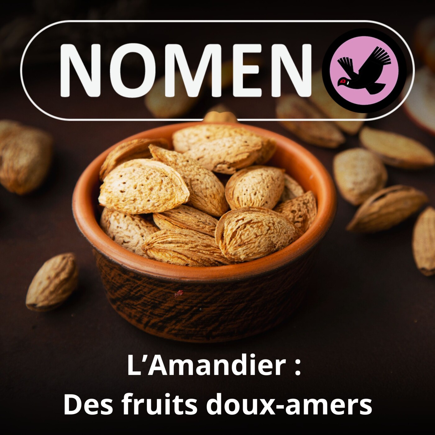 S05E44 L'Amandier : Un arbre aux fruits doux-amers episode artwork