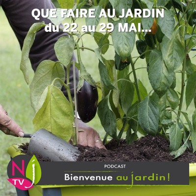 QUE FAIRE AU JARDIN DU 15 AU 22 MAI ? cover
