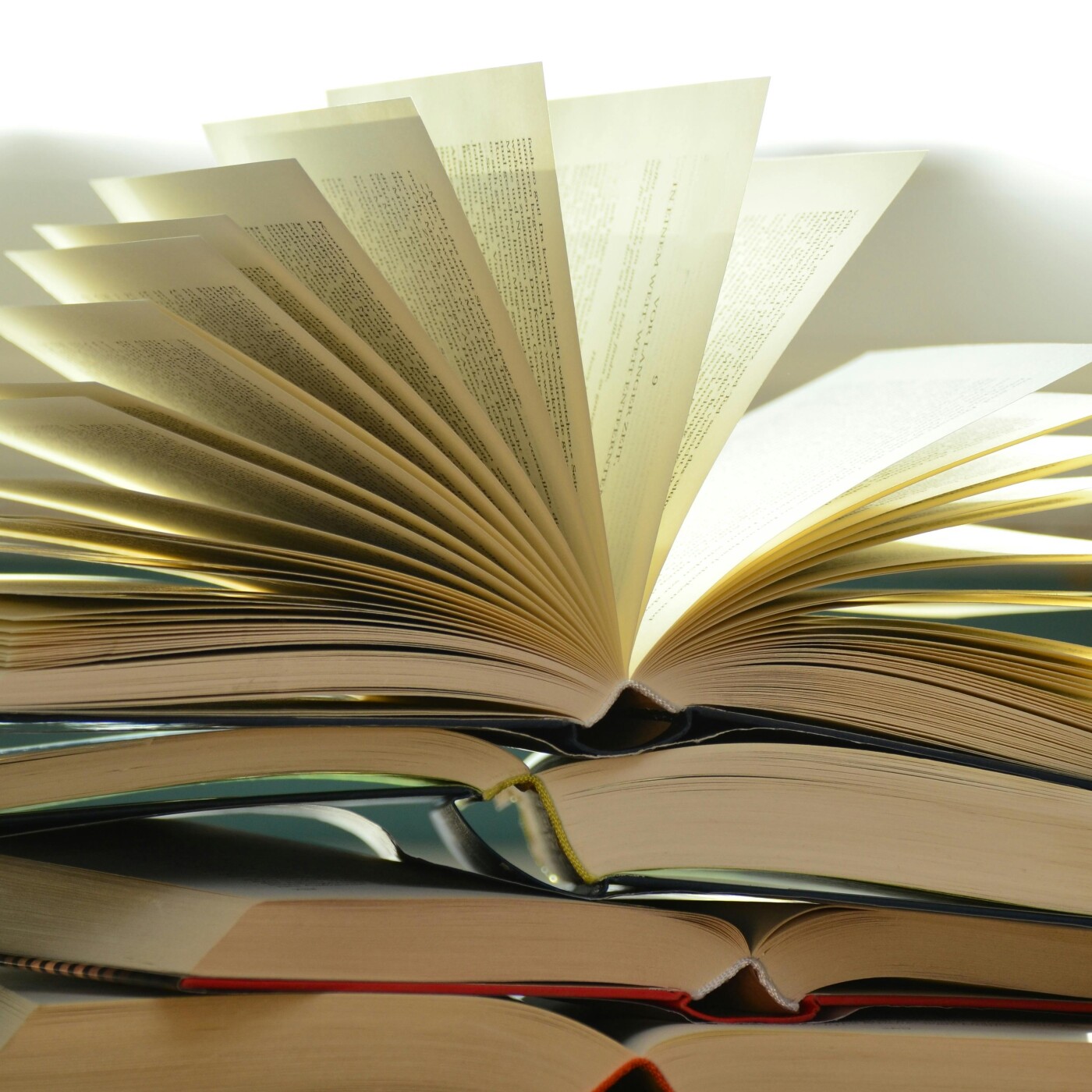 Haguenau : "Partir en livre, sport et jeux à l'honneur episode artwork