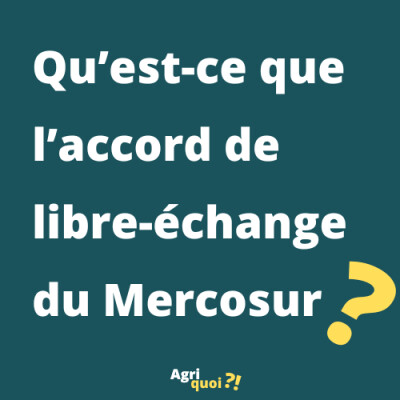 En quoi consiste l'accord de libre-échange avec le Mercosur ? cover
