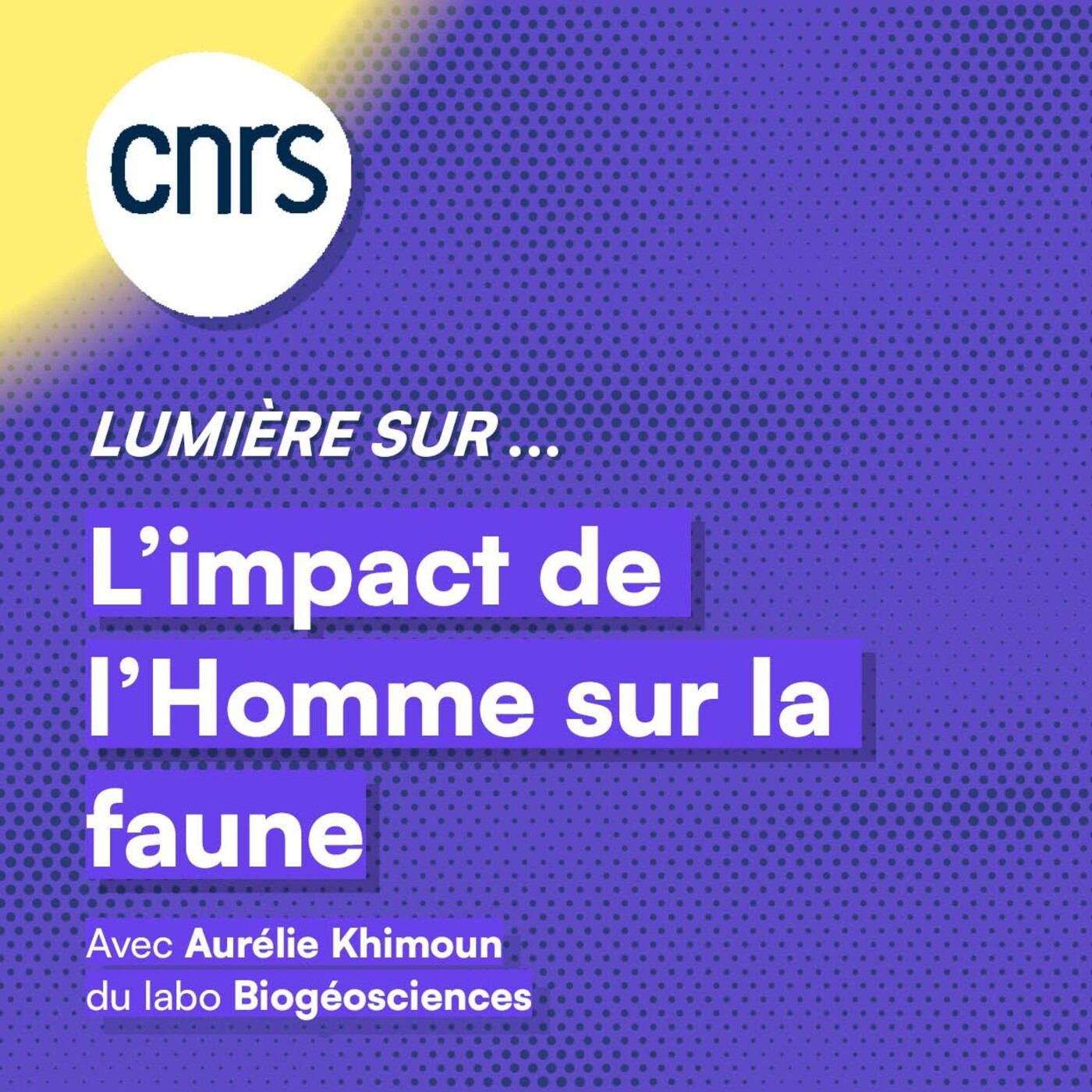 Lumière sur... L'impact de l'homme sur la faune episode artwork
