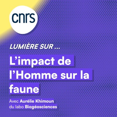 Lumière sur... L'impact de l'homme sur la faune cover