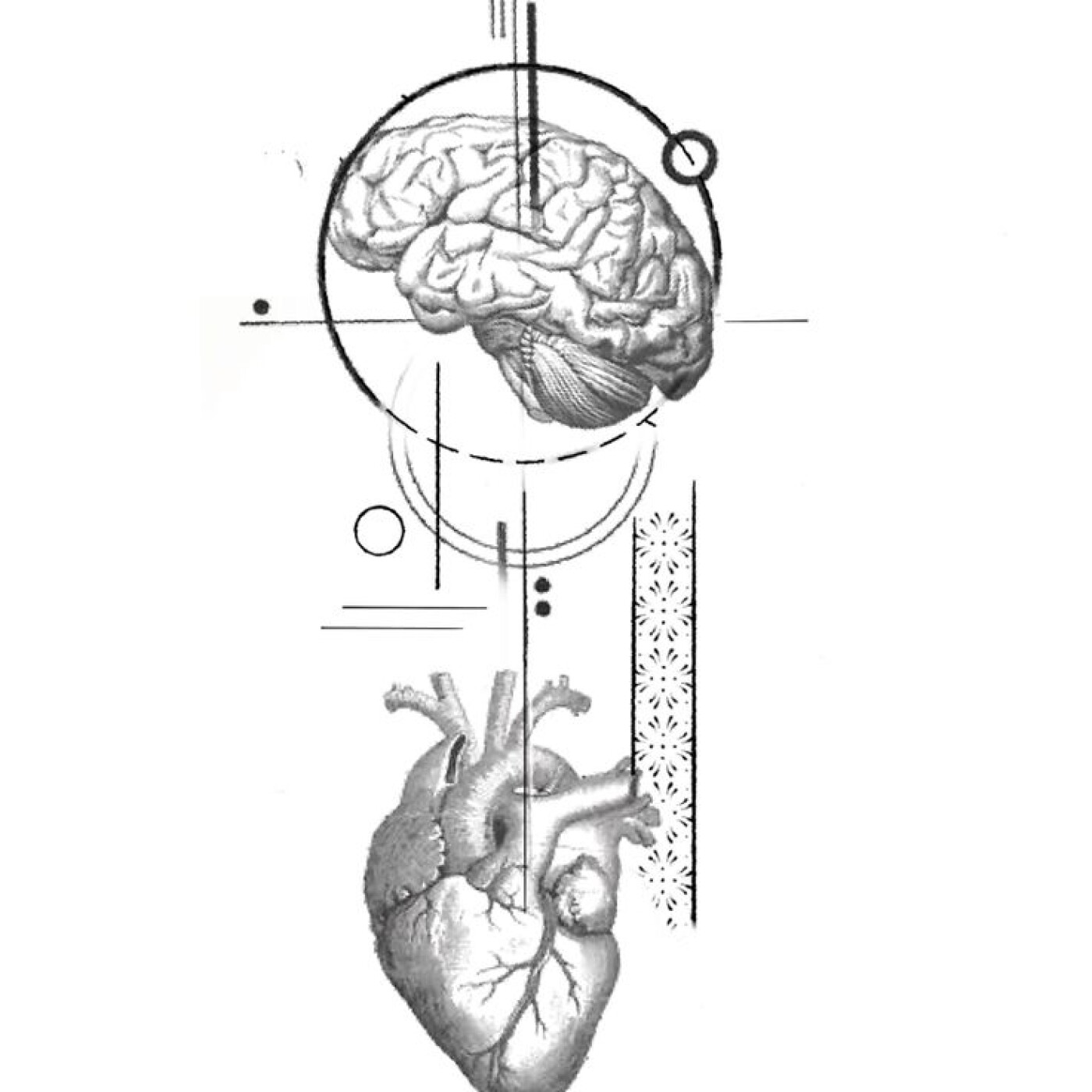 Episode 09 : SELF  C O N F I D AN C E