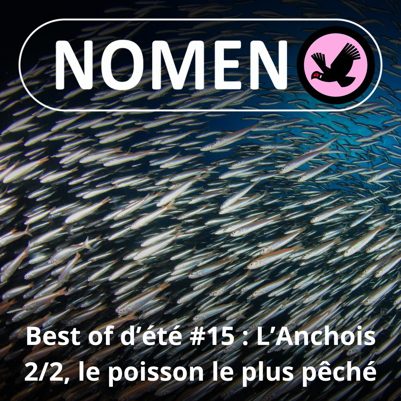BEST OF D’ÉTÉ #15 : L’Anchois 2/2, ce poisson sur votre pizza est le plus pêché au monde