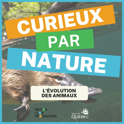 Curieux par Nature: L'évolution des animaux cover