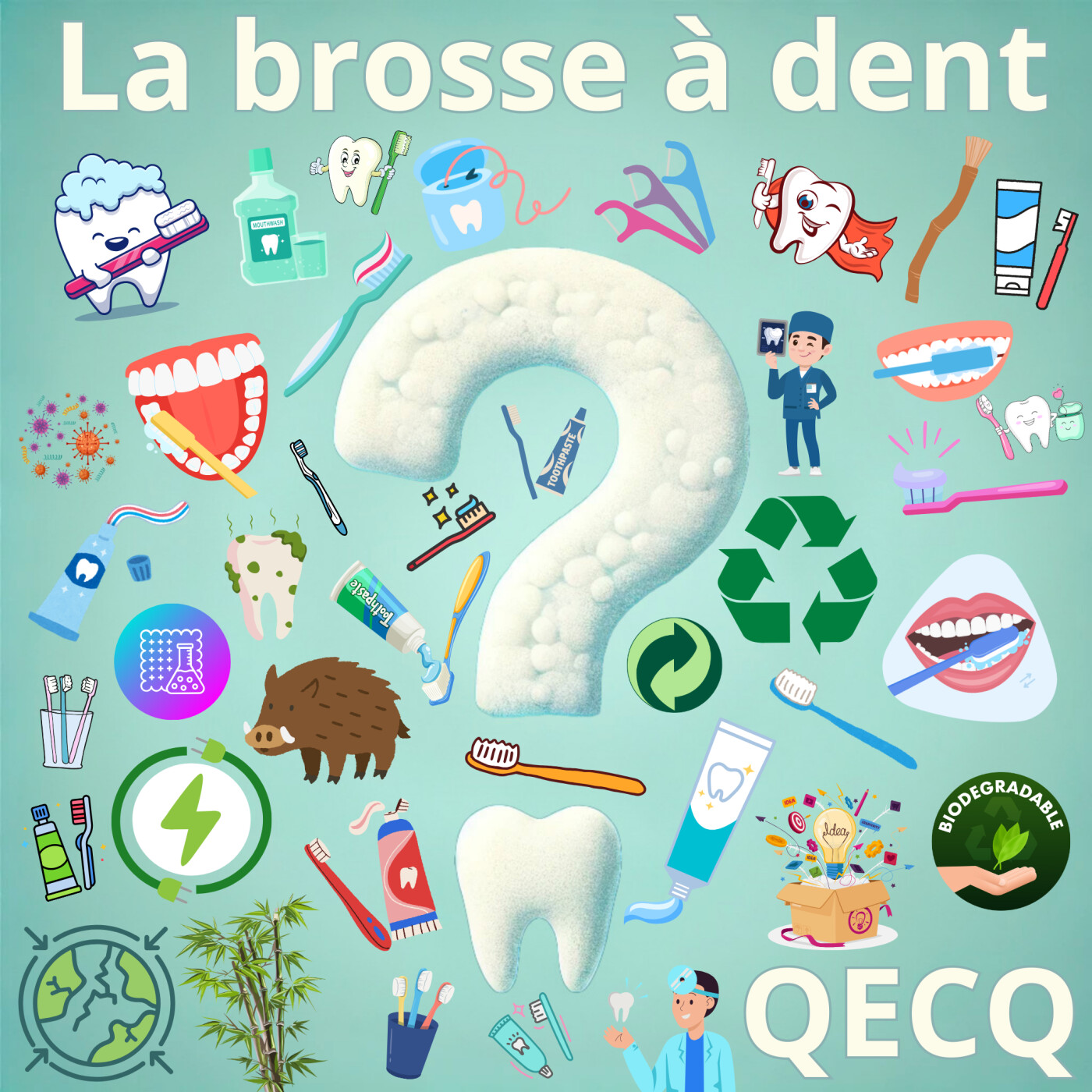 QECQ - Qu\'est-ce que ?