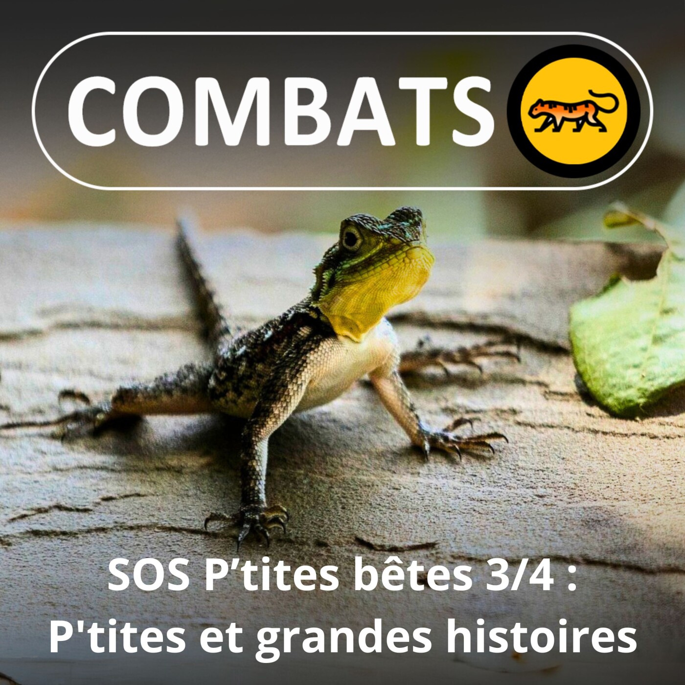 S01E36 SOS P'tites Bêtes 3/4 : Les p'tites... et les grandes histoires (Abel Jeudon)