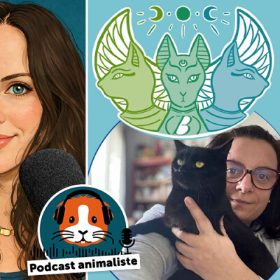 25. Bastet et les enfants au royaume des chats cover