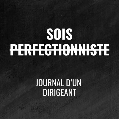 483 - Développe ton imperfectionnisme - Journal d'un Dirigeant cover