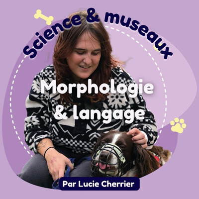 Épisode 4 : Morphologie & langage cover