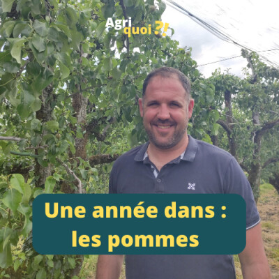 Une année dans : les pommes cover