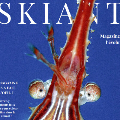 Yeux dans le règne animal cover