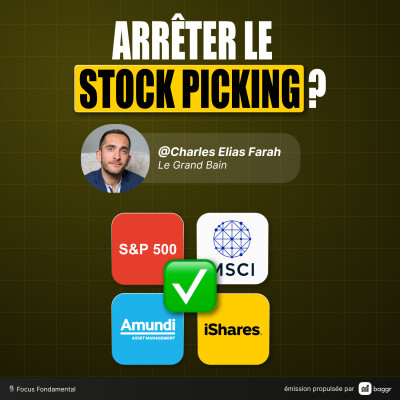 Stock Picking : une Perte de Temps ? (FFP102) cover