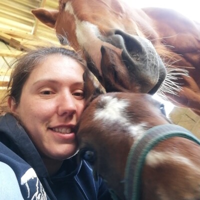 Amandine, la Téméraire cover