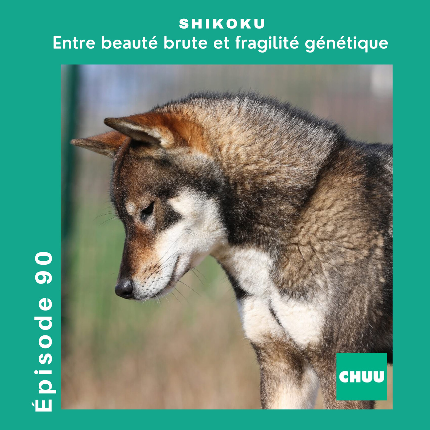 CHUU PODCAST - CHACUN SON CHIEN