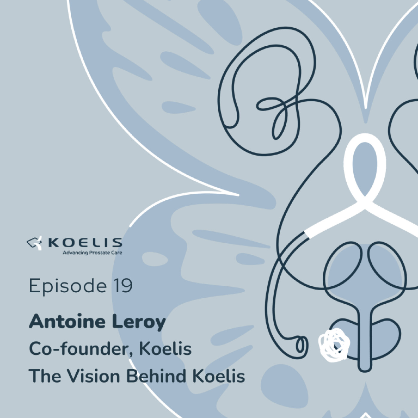 The Vision Behind Koelis