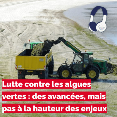 Lutte contre les algues vertes : des avancées, mais pas à la hauteur des enjeux cover