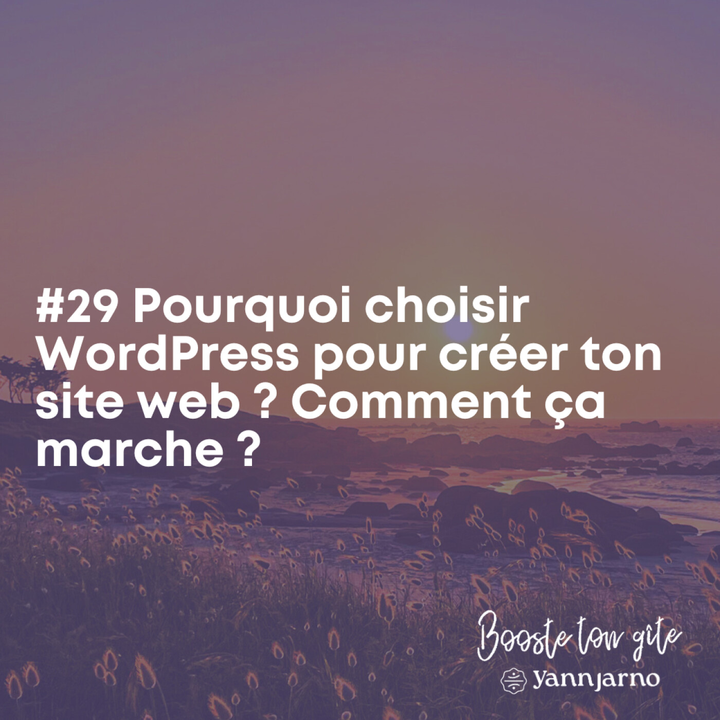 #29 Pourquoi choisir WordPress pour créer ton site web ? Comment ça marche ?
