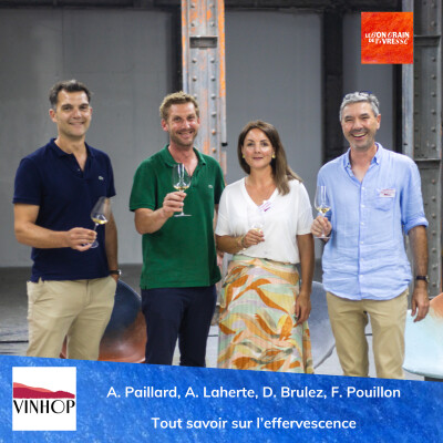 Table ronde salon Vinhop : tout savoir sur l'effervescence (spécial Champagne) cover