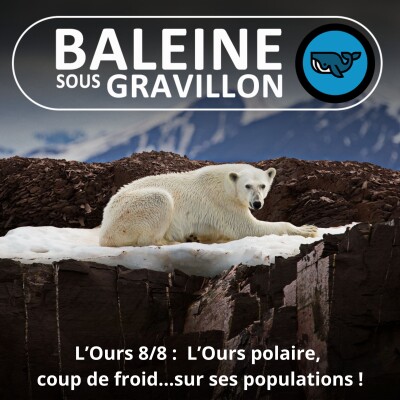 S05E29 L'Ours 8/8 (et Ours polaire 3/3) : Coup de froid ... sur ses populations ! (Rémy Marion) cover