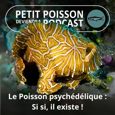 S05E06 Le Poisson psychédélique : le plus space des habitants des mers cover
