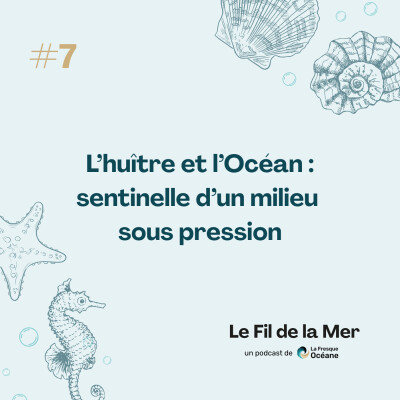 #7 L’huître et l’Océan : sentinelle d’un milieu sous pression cover