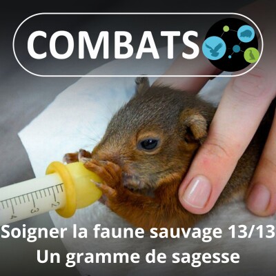 S01E70 Soigner la faune sauvage 13/13 : Un gramme de sagesse pour finir... (Manon Tissidre, directrice) cover