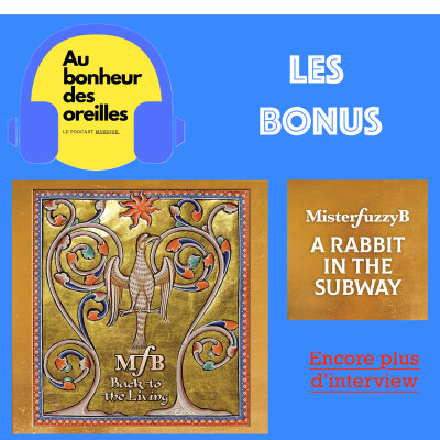 #5 BONUS Au Bonheur Des Oreilles - MisterFuzzyB cover