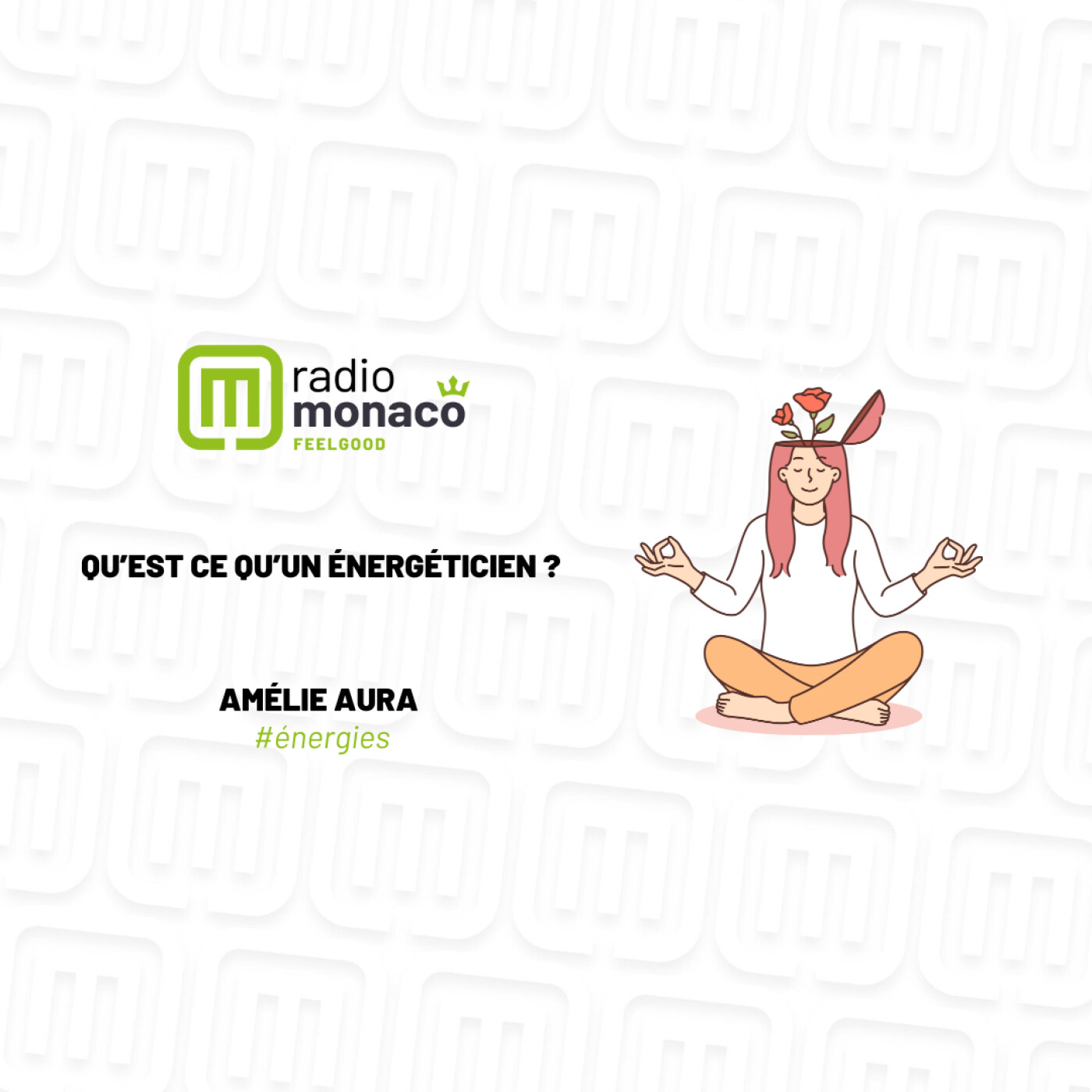 Qu'est-ce qu'un énergéticien ? episode artwork