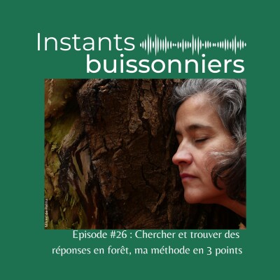 Episode 26 : Chercher et trouver des réponses en forêt, ma méthode en 3 points cover