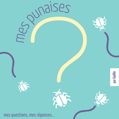 E20 la Terre n'est pas ronde cover