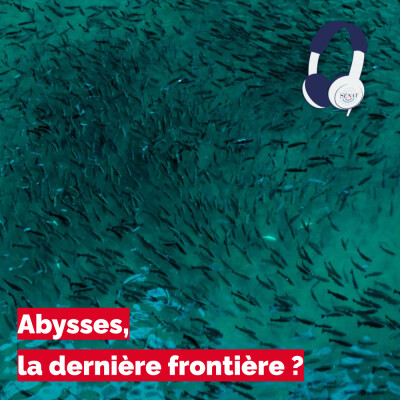 Abysses, la dernière frontière ? cover