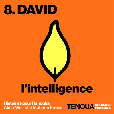 8 - David - l'intelligence cover