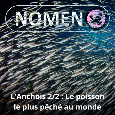 S01E76 : L'Anchois 2/2 : Ce poisson sur votre pizza est le plus pêché au monde cover