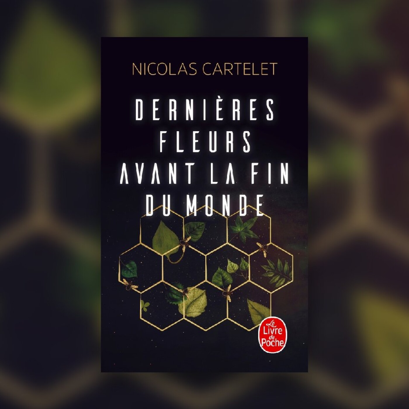 Dernières Fleurs avant la Fin du Monde - Nicolas Cartelet #18